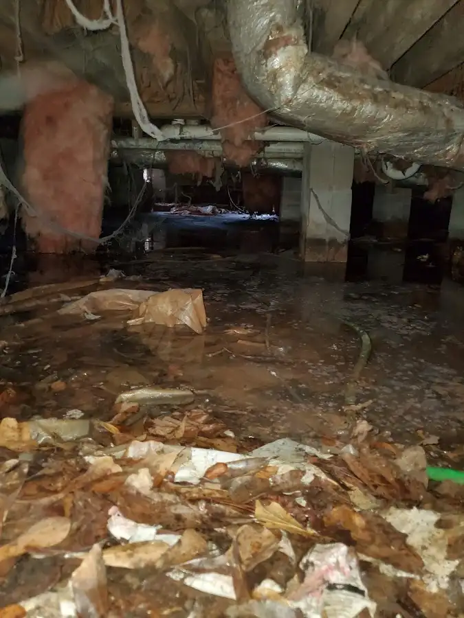 Crawl space flood assessment for Leak Detection & Repair in Breitung