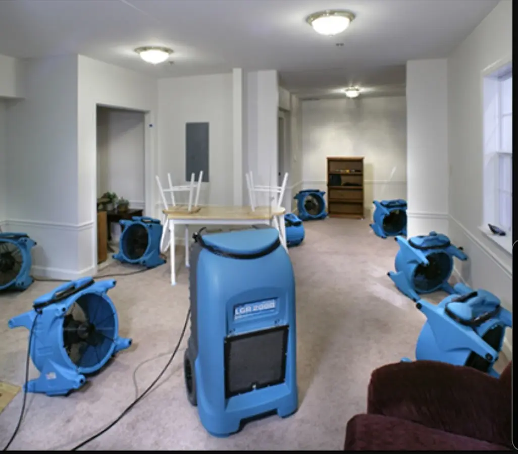 Air movers and dehumidifier setup for Water Extraction & Removal in Breitung